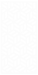 Zonder titel (121 x 240 px) (1)